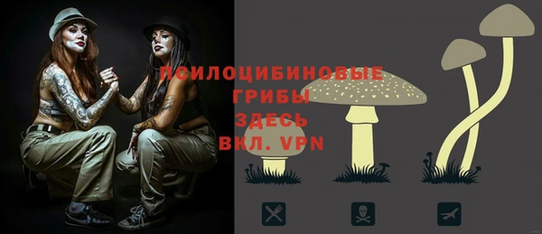 стафф Беломорск