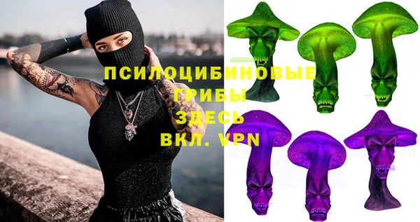 эйфоретик Белокуриха