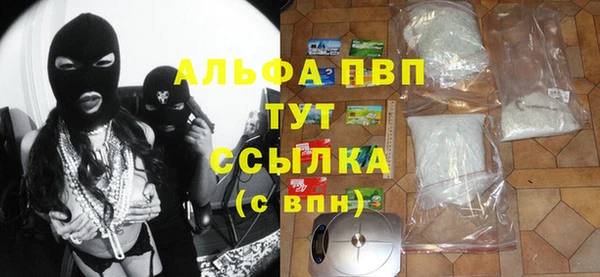 эйфоретик Белокуриха
