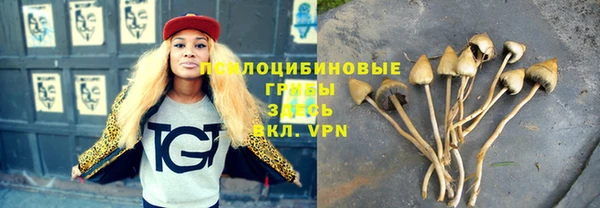 эйфоретик Белокуриха