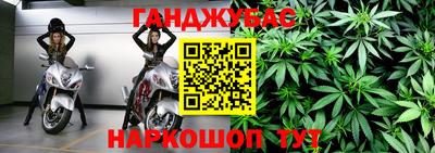 кокс Донской