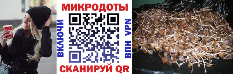 Псилоцибиновые грибы MAGIC MUSHROOMS  Армавир 