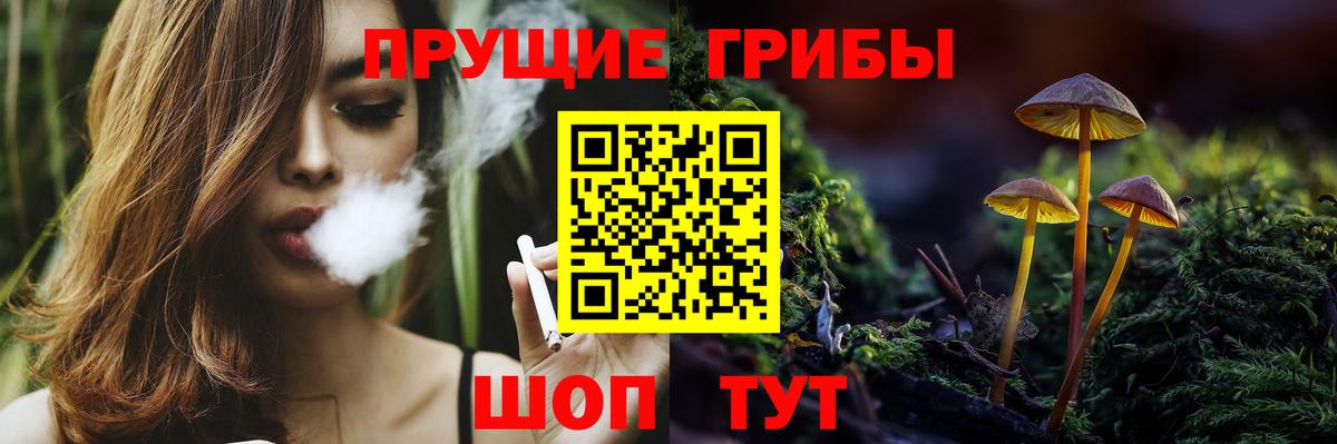 Галлюциногенные грибы Cubensis Армавир